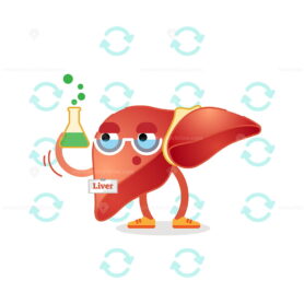 FREE Liver cartoon character vector illustration