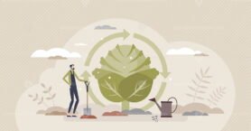 Permaculture farming as sustainable and organic growing tiny person concept