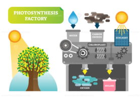 FREE Photosynthesis factory infographic vector illustration for clean nature