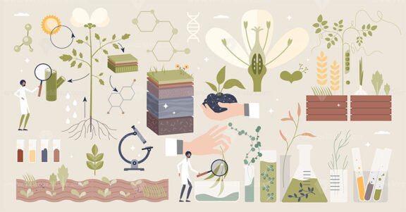 Plant biology with scientific organic research tiny person collection set