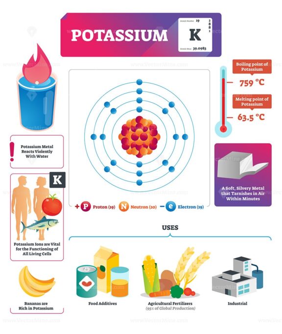 Potassium vector illustration