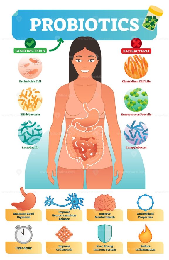 Vector illustration with probiotics