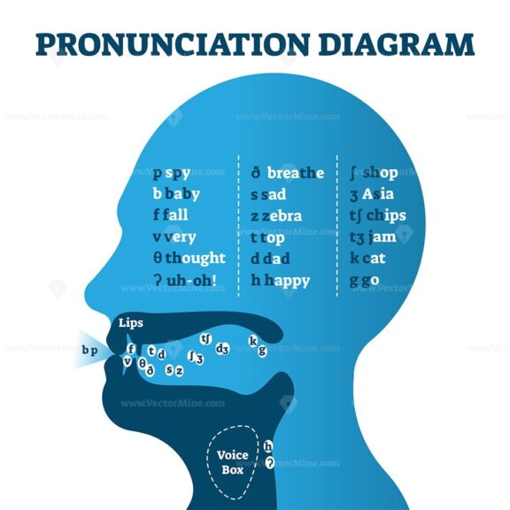 FREE Pronunciation diagram chart with letters and corresponding sounds, vector illustration