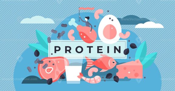 Protein vector illustration