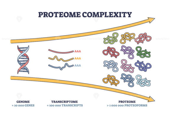 Proteome complexity as cellular complex microcosm division outline diagram