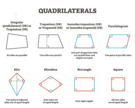 Quadrilaterals vector illustration