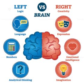Left versus right brain traits diagram