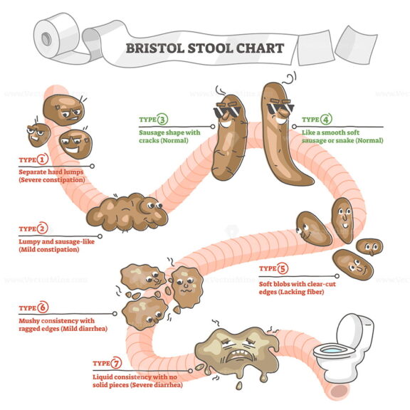 Bristol stool chart with excrement description and types outline diagram