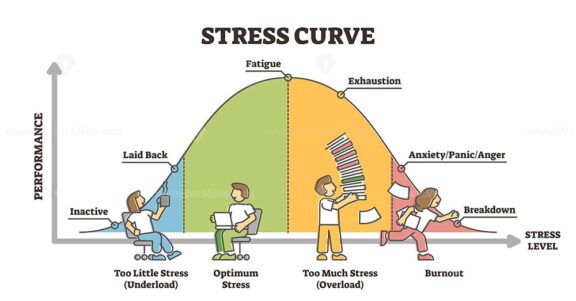 Stress curve educational diagram with performance level graph outline diagram