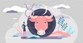 Taurus vector illustration