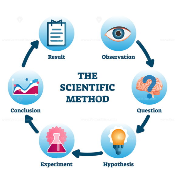 The scientific method vector illustration