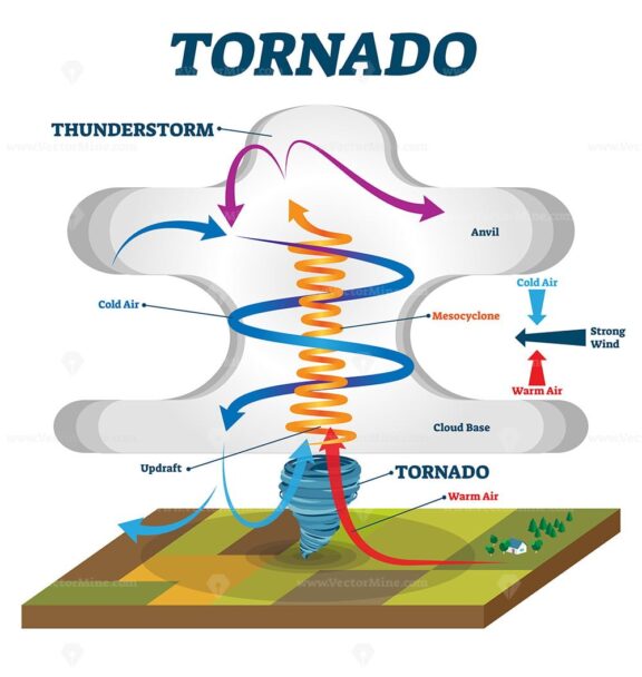 Tornado vector illustration
