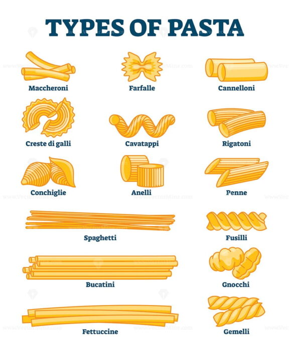 Types of pasta vector illustration