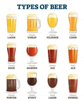 Types of beer vector illustration