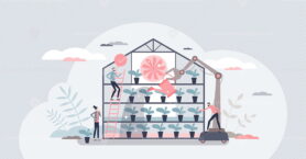 Vertical farming and robotic automated indoor agriculture tiny person concept