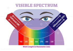 Visible spectrum vector illustration diagram