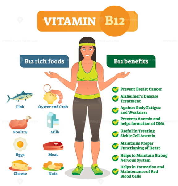Vitamin B12 rich food
