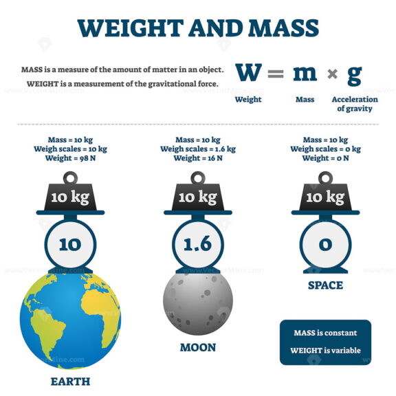 Weight and mass vector illustration