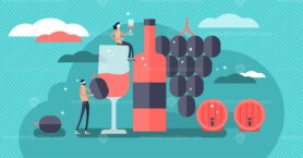 Wine vector illustration