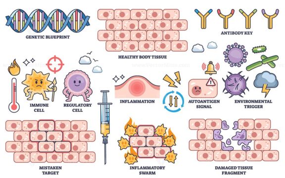 Autoimmune diseases are illustrated with immune cells, inflammation, and damaged tissue, highlighting immune system dysfunction. Outline style collection