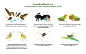 FREE Behavioral isolation vector illustration collection set