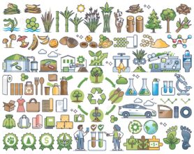 Bio based materials and packaging production using plants outline collection