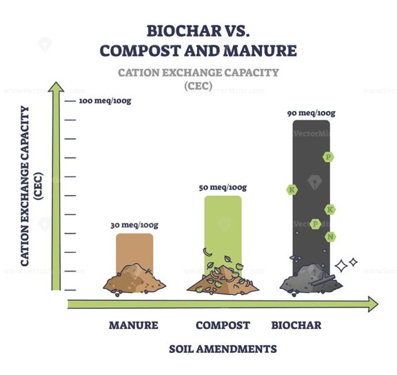Biochar vs compost and manure cation exchange capacity or CEC outline diagram
