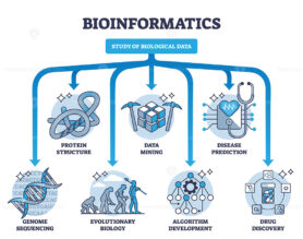 Bioinformatics as study and research of biological data outline diagram