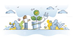 Biomass energy and electricity production with bio resources outline concept