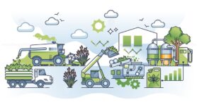 Biomass from field to fuel with renewable resources usage outline concept