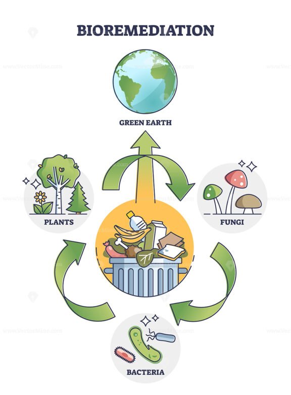 Bioremediation process as bacteria usage for green earth outline diagram