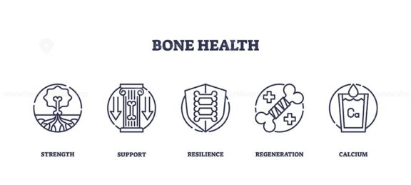 Bone health icons illustrate strength, support, and resilience. Outline icons set