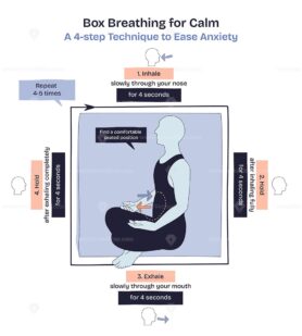 Box breathing for calm shows a person meditating with step-by-step arrows for inhale, hold, exhale, and repeat. Doodle style diagram