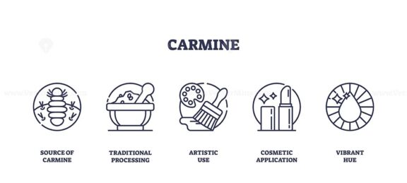 Carmine Icons outline depicts the lifecycle and uses of carmine, featuring a cochineal insect, a mortar and pestle, and a paint palette. Outline icons set.