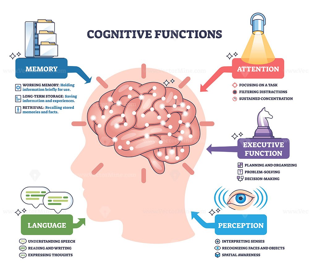 Cognitive functions brief overview showing a brain in a head silhouette with icons for memory, attention, language, perception, and executive function, mapping how the mind works. Outline diagram