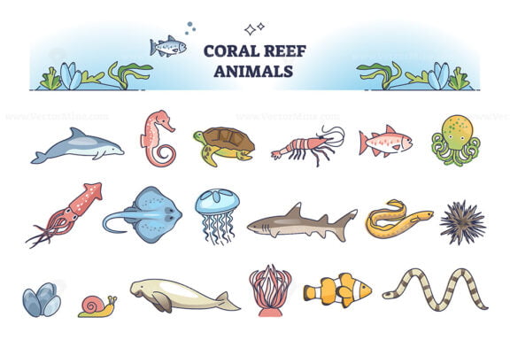 Coral reef animals collection with underwater wildlife elements outline set