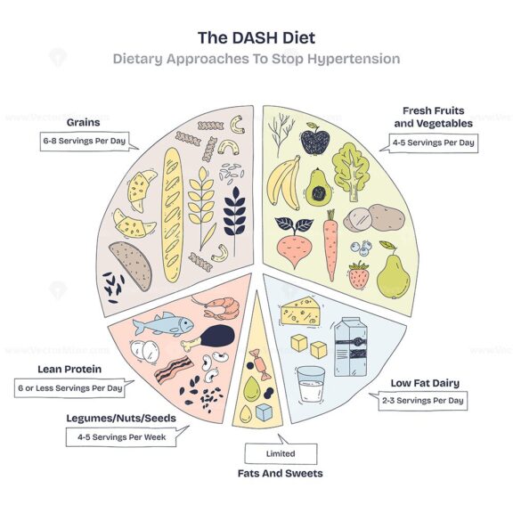 DASH Diet focuses on balanced nutrition with grains, fruits, and proteins. Doodle style diagram.
