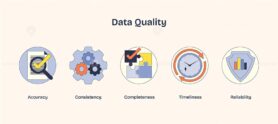 Data quality icons show accuracy, consistency, and reliability using checkmarks, gears, and shields. Neubrutalism style