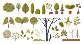 Decorative trees forms and green stylish plants elements in collection set