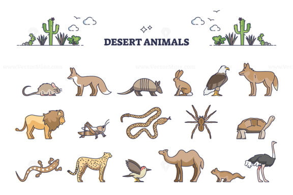 Desert animals collection with hot environment habitat species outline set