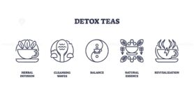 Detox teas are symbolized by herbal infusion, balance, and revitalization. Outline icons set.