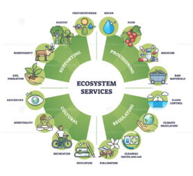 Ecosystem services and nature based ecological solutions outline diagram