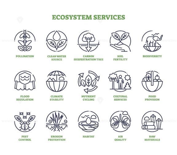 Ecosystem services as nature elements for wellbeing outline icon collection