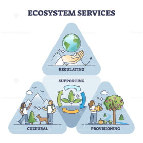 Ecosystem services as environmental regulation and supporting outline diagram