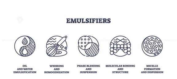 Emulsifiers are depicted with icons representing oil-water mixing, whisking, and molecular bonding. Outline icons set.