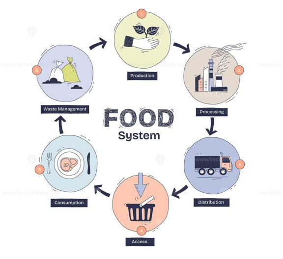 Food system cycle shows production, processing, and distribution. Key objects, plant, factory, truck. Doodle style diagram