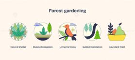 Forest gardening icons depict natural shelter, diverse ecosystem, and living harmony. Neubrutalism style