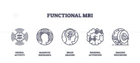 Functional MRI icons show neural activity, brain imaging, and MRI scanner in a clear outline style. Outline icons set