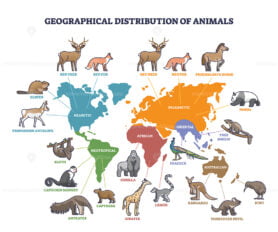 Geographical distribution of wild animals on world map zones outline diagram