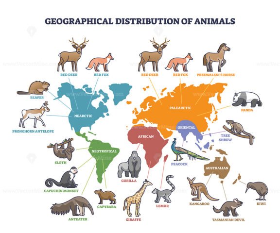 Geographical distribution of wild animals on world map zones outline diagram